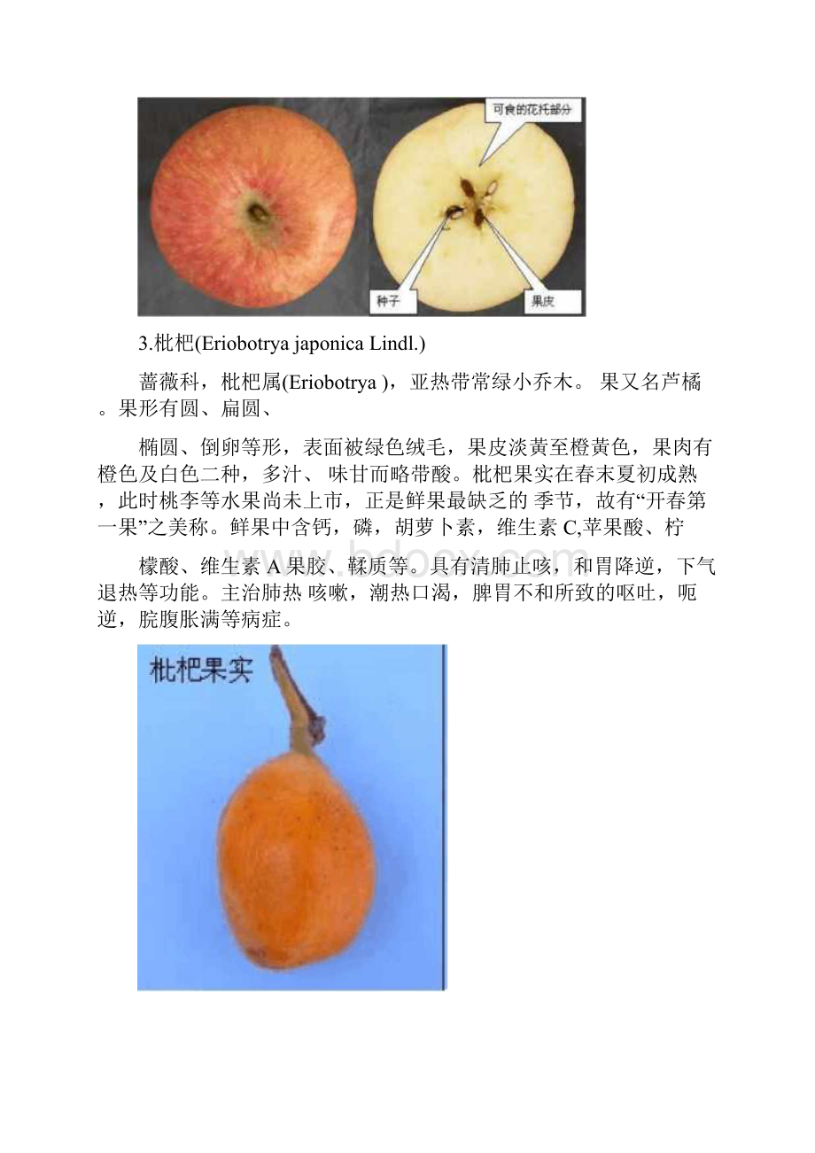 常见水果食用部分.docx_第3页