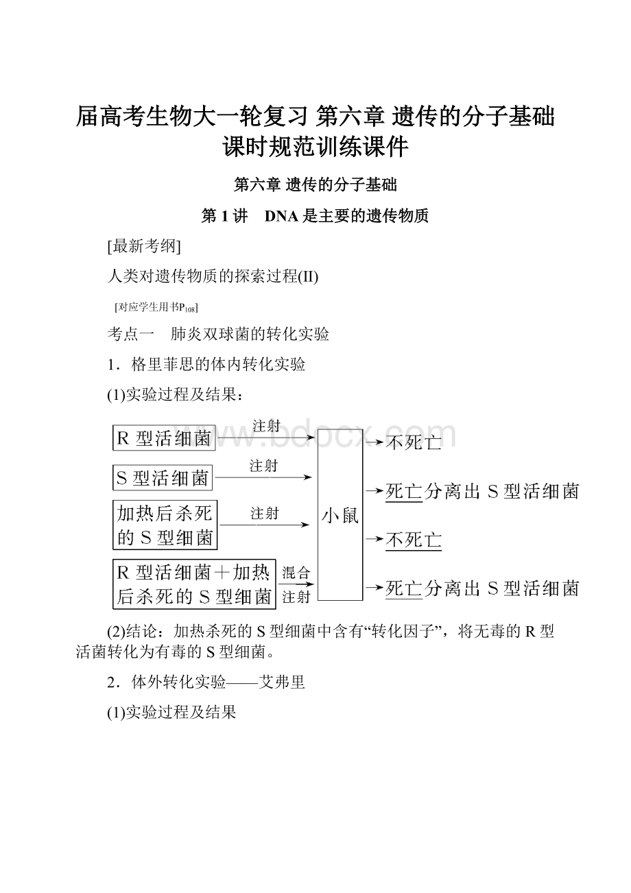 届高考生物大一轮复习 第六章 遗传的分子基础课时规范训练课件.docx_第1页