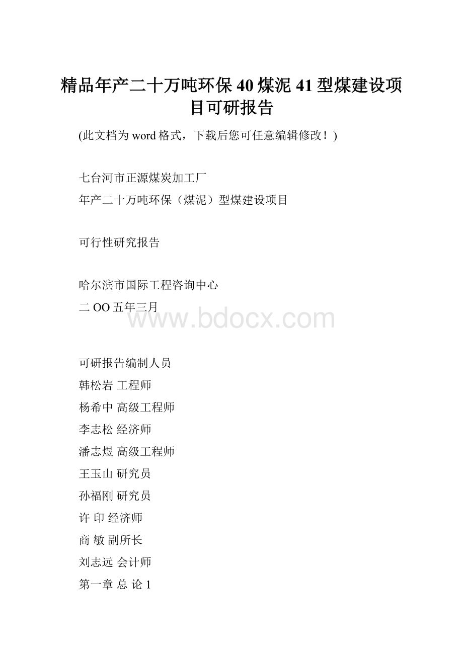 精品年产二十万吨环保40煤泥41型煤建设项目可研报告.docx_第1页