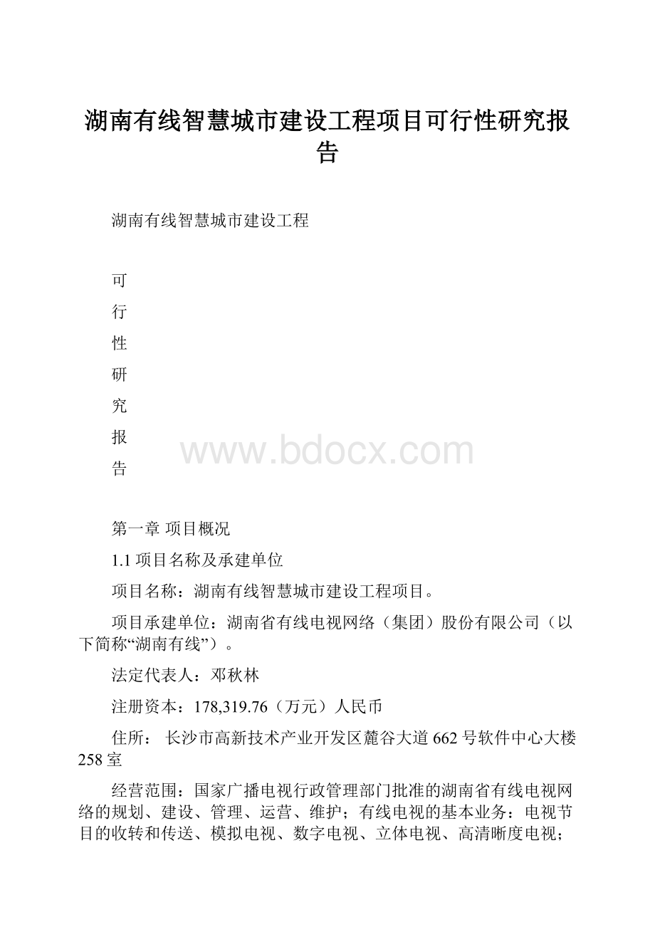 湖南有线智慧城市建设工程项目可行性研究报告.docx