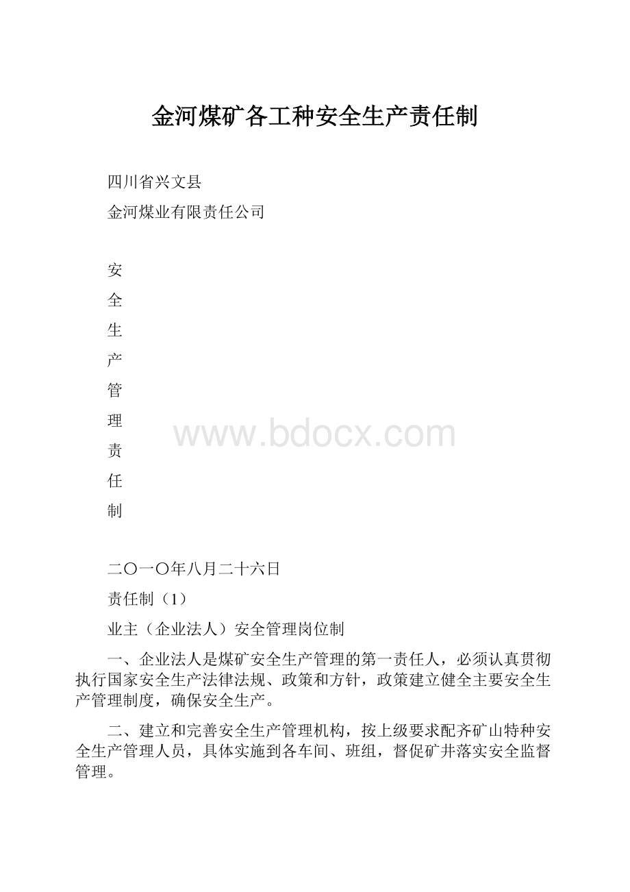 金河煤矿各工种安全生产责任制.docx_第1页