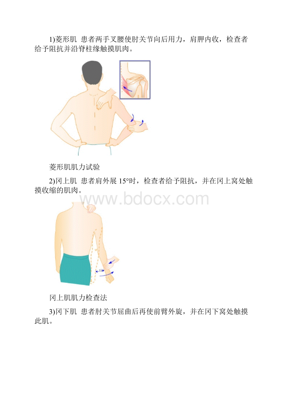 肌力检查方法.docx_第2页