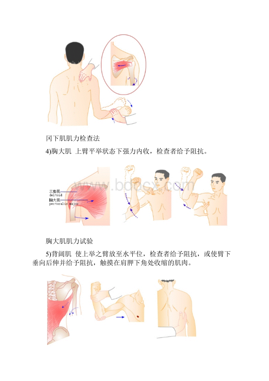 肌力检查方法.docx_第3页
