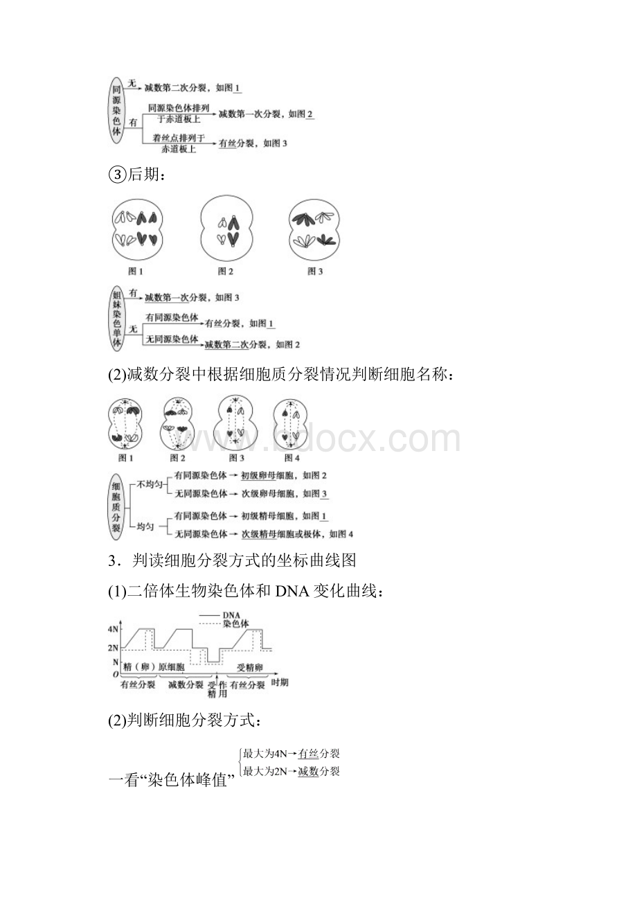 高考生物二轮配套文档专题31细胞的增殖和受精作用.docx_第3页