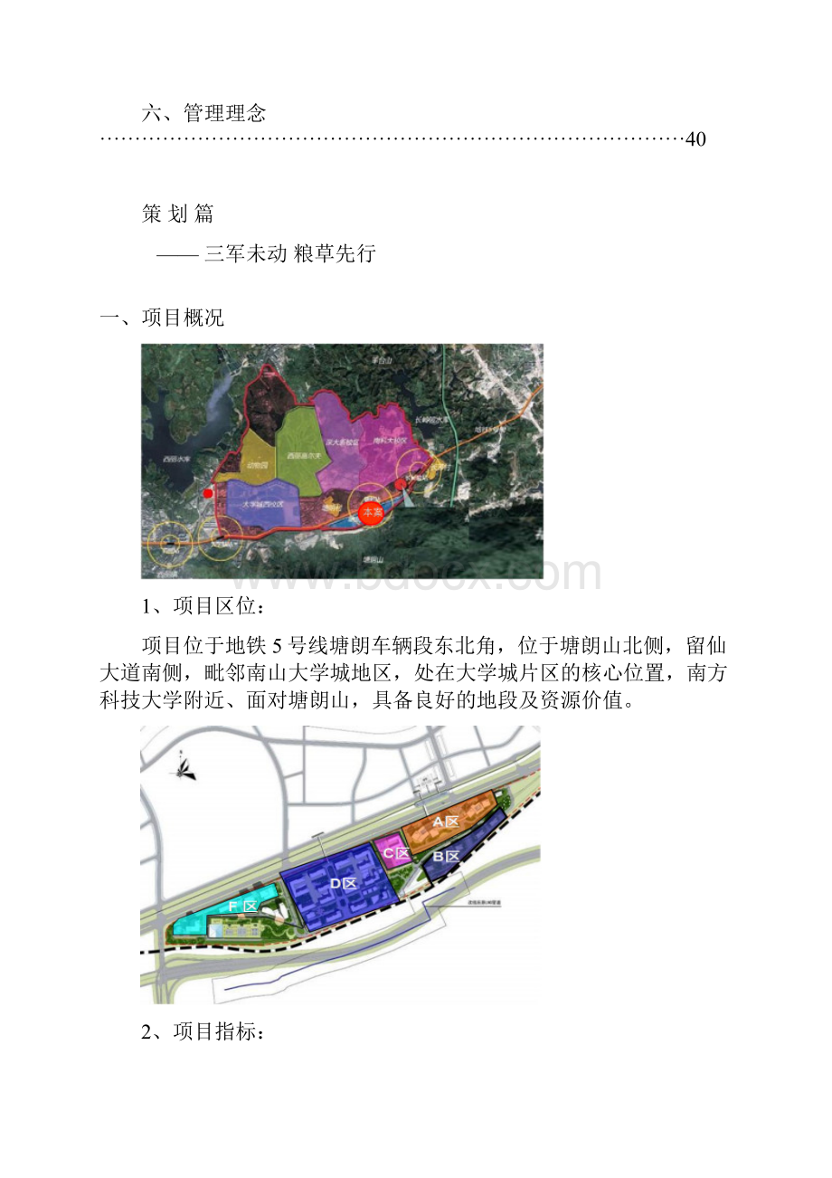 地铁5号线塘朗综合体项目策划招商运营框架报告.docx_第3页