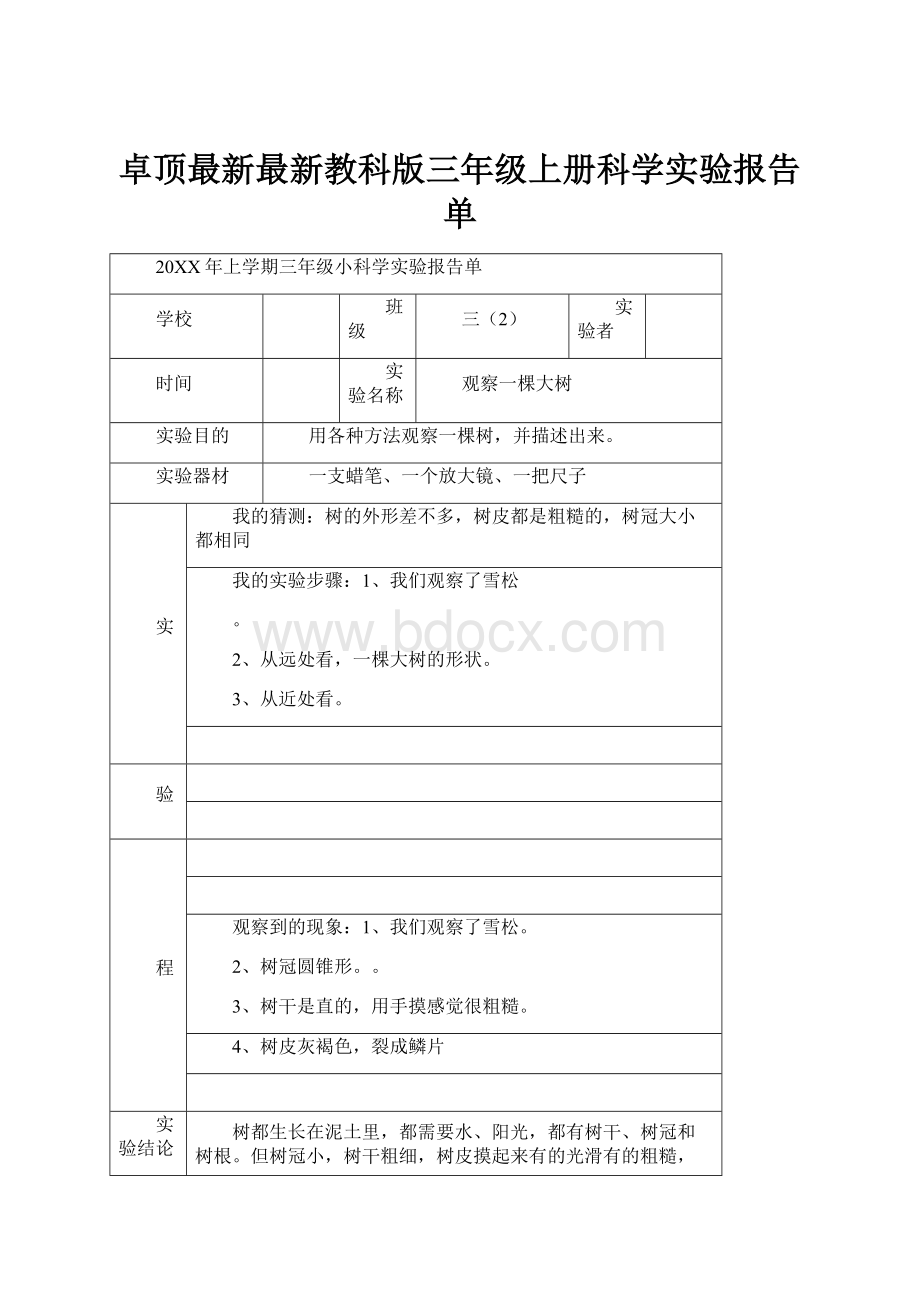 卓顶最新最新教科版三年级上册科学实验报告单.docx