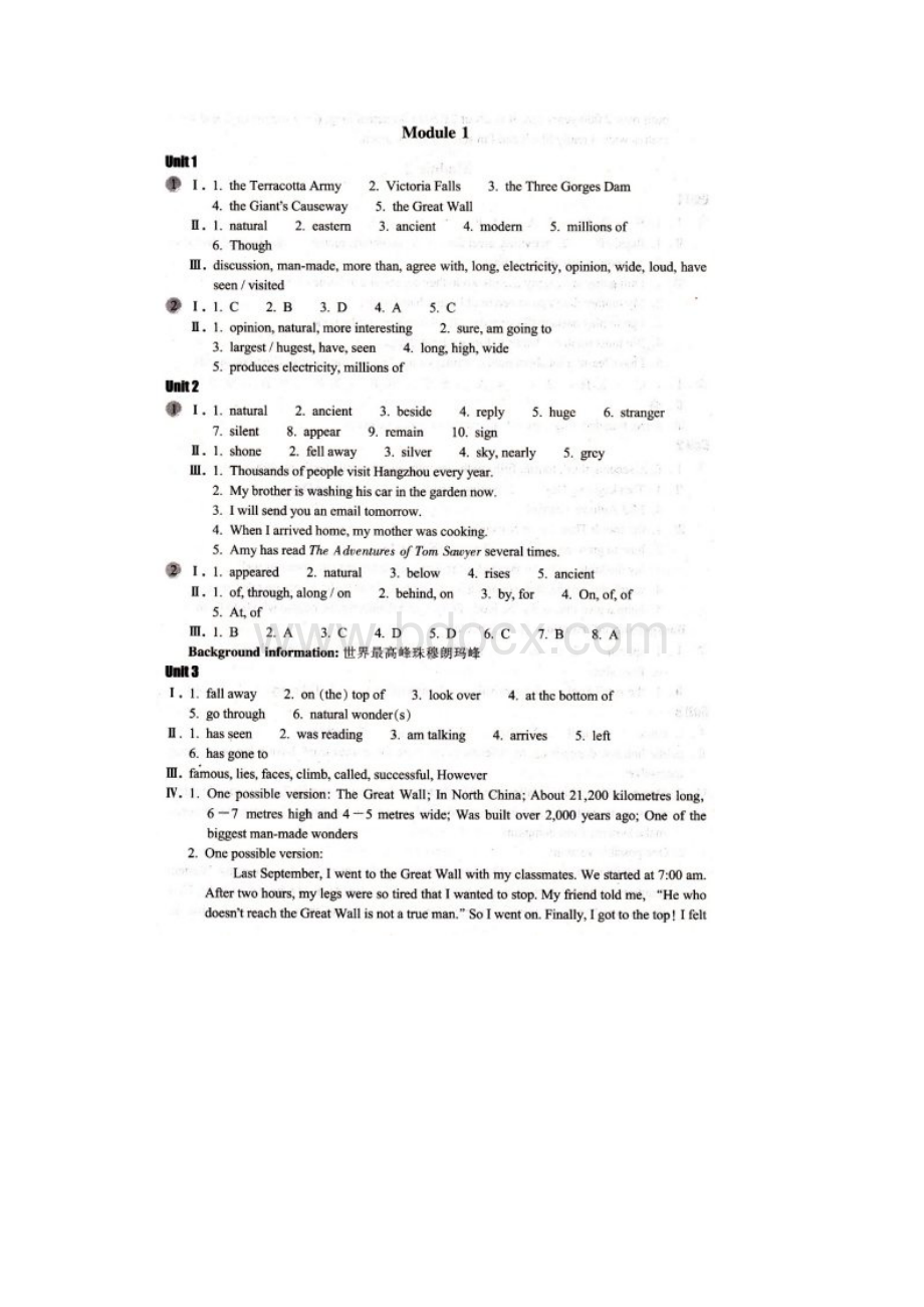 九年级上册英语作业本参考答案.docx_第2页
