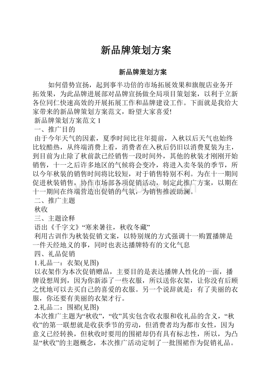 新品牌策划方案.docx