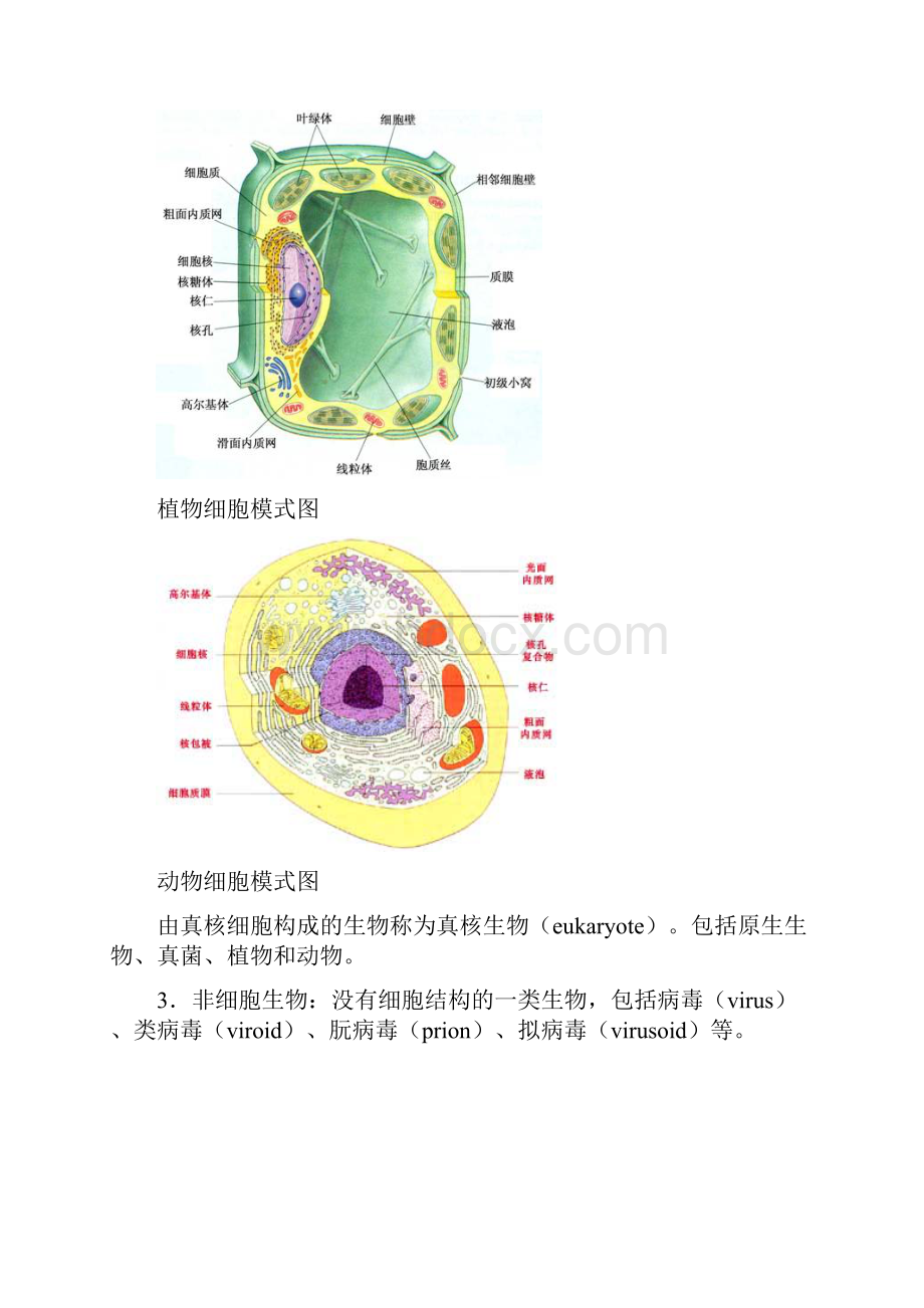 生物分类学最新完整版.docx_第3页