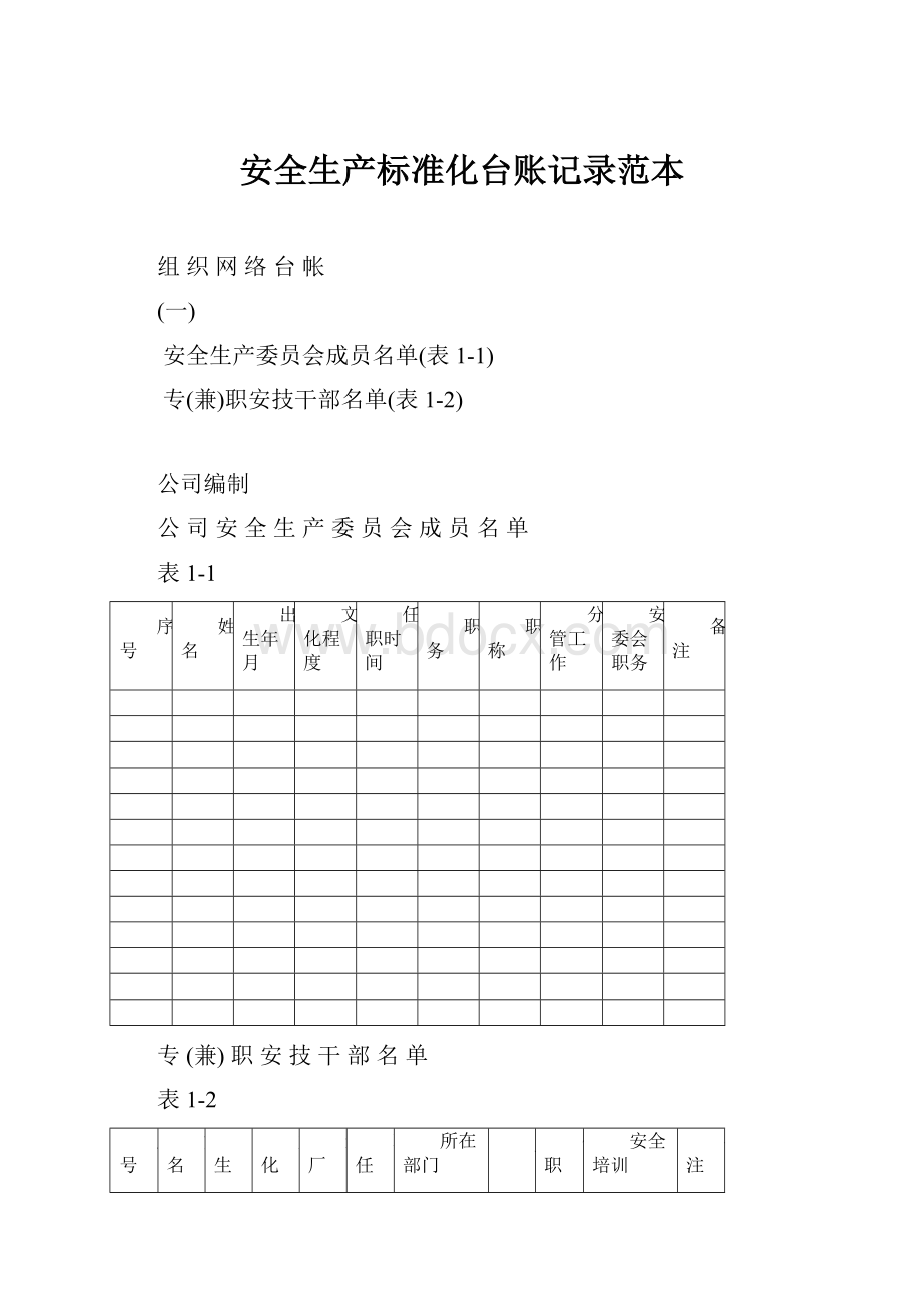 安全生产标准化台账记录范本.docx