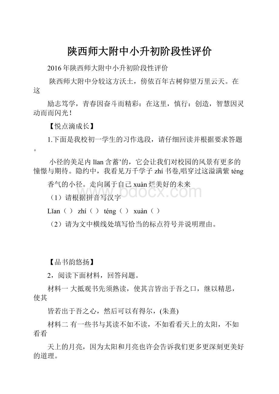 陕西师大附中小升初阶段性评价.docx