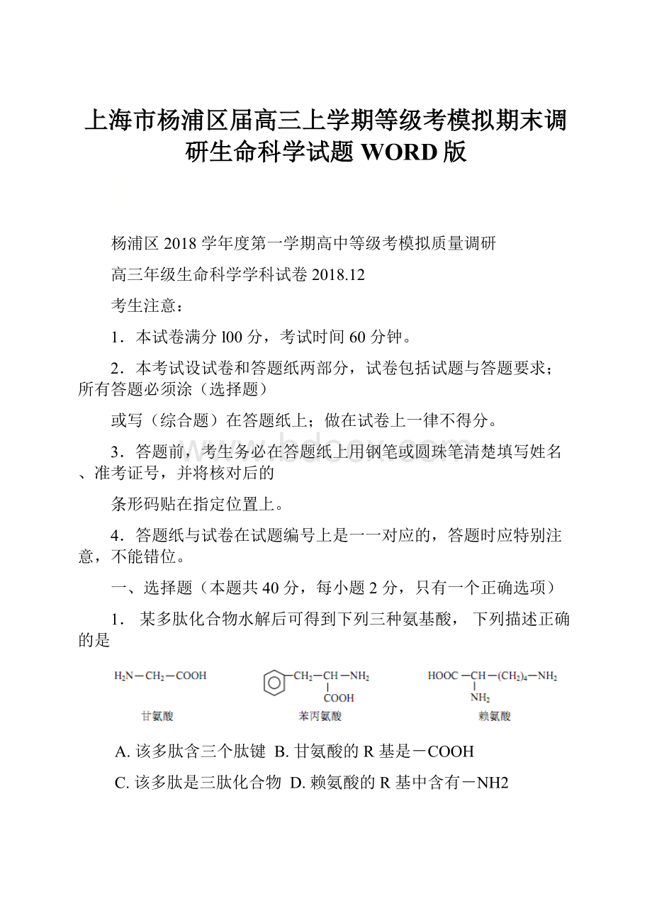 上海市杨浦区届高三上学期等级考模拟期末调研生命科学试题WORD版.docx_第1页