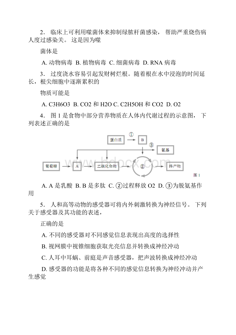 上海市杨浦区届高三上学期等级考模拟期末调研生命科学试题WORD版.docx_第2页