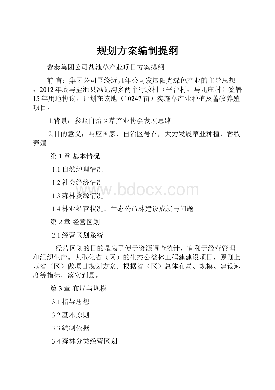 规划方案编制提纲.docx_第1页