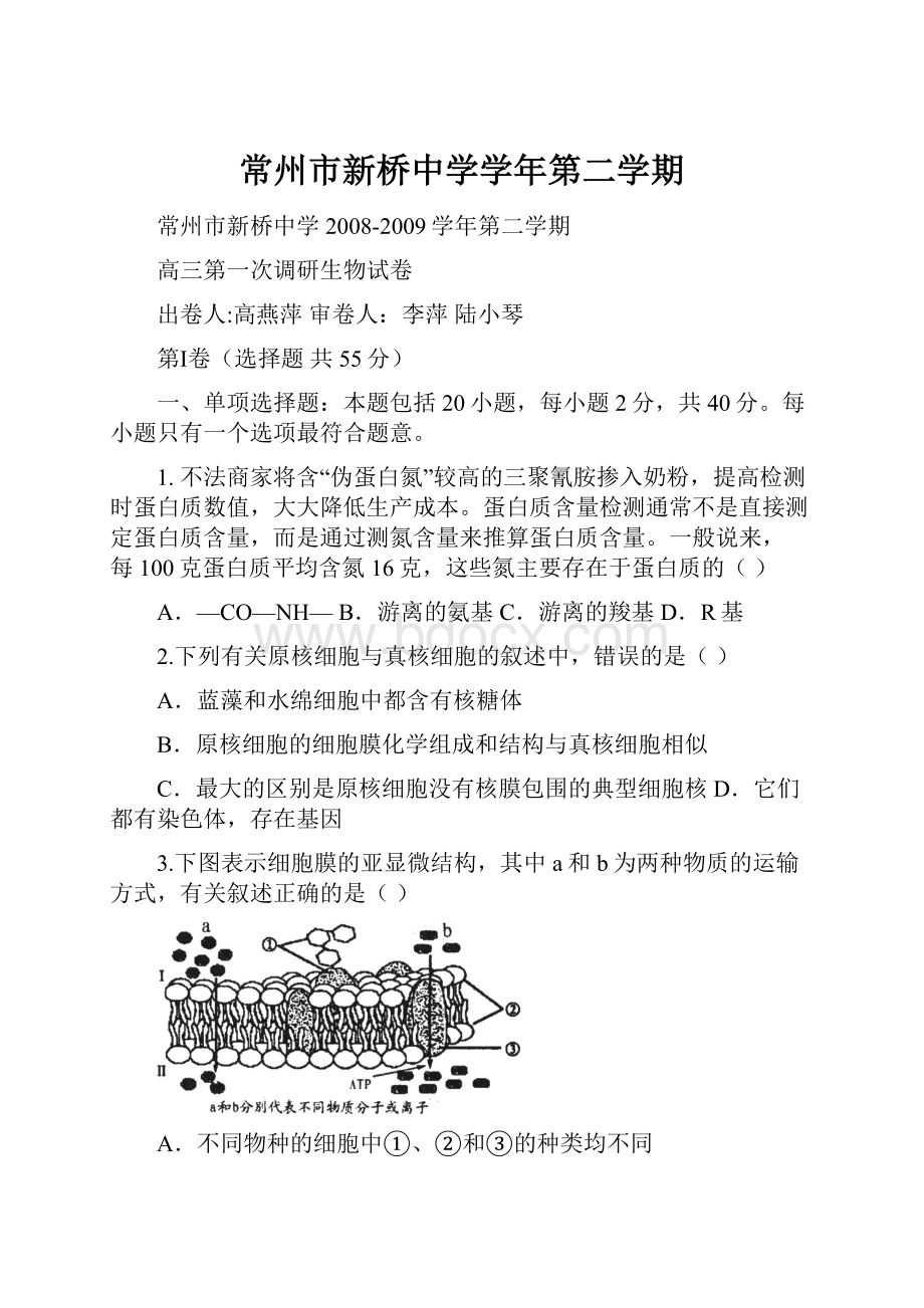 常州市新桥中学学年第二学期.docx_第1页