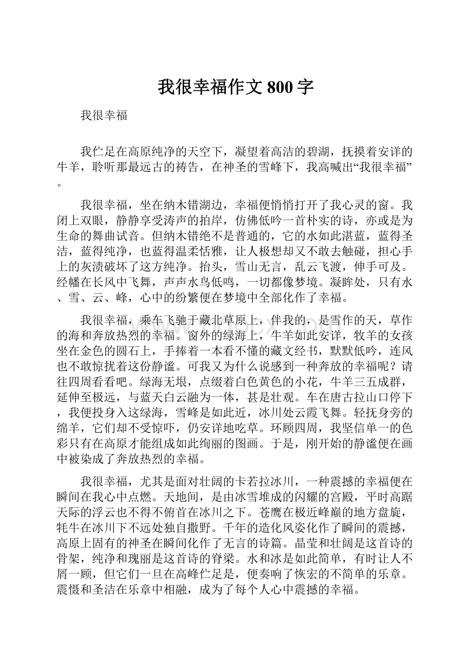 我很幸福作文800字.docx