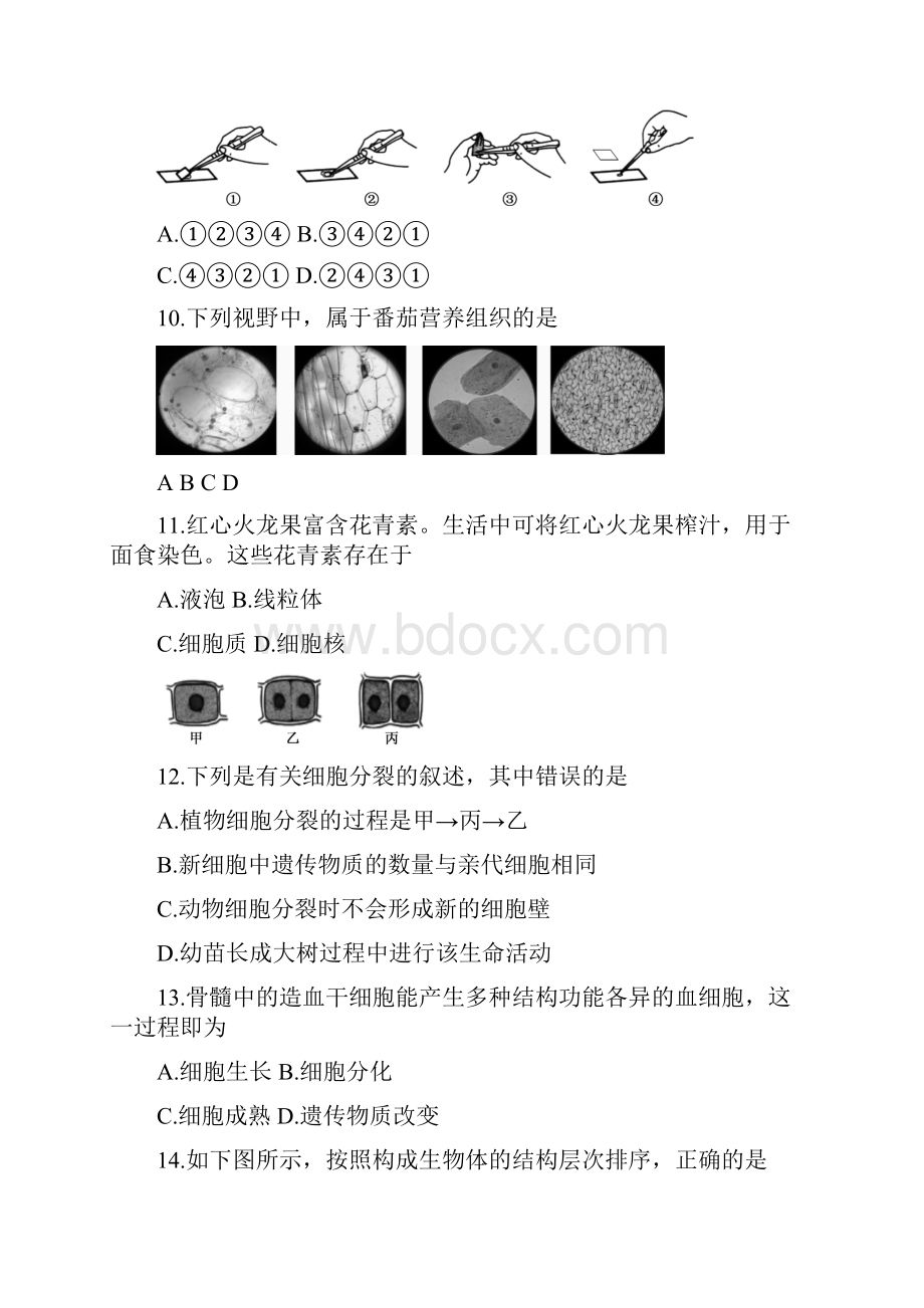 朝阳区学年初一生物期末生物试题及答案word版.docx_第3页