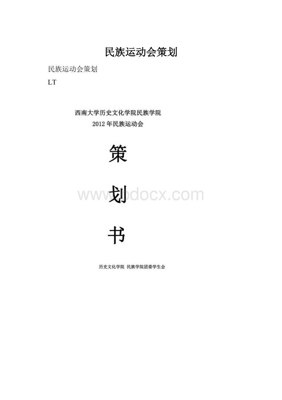 民族运动会策划.docx