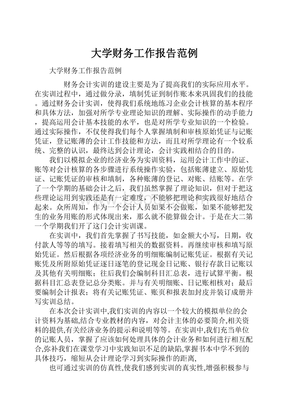 大学财务工作报告范例.docx