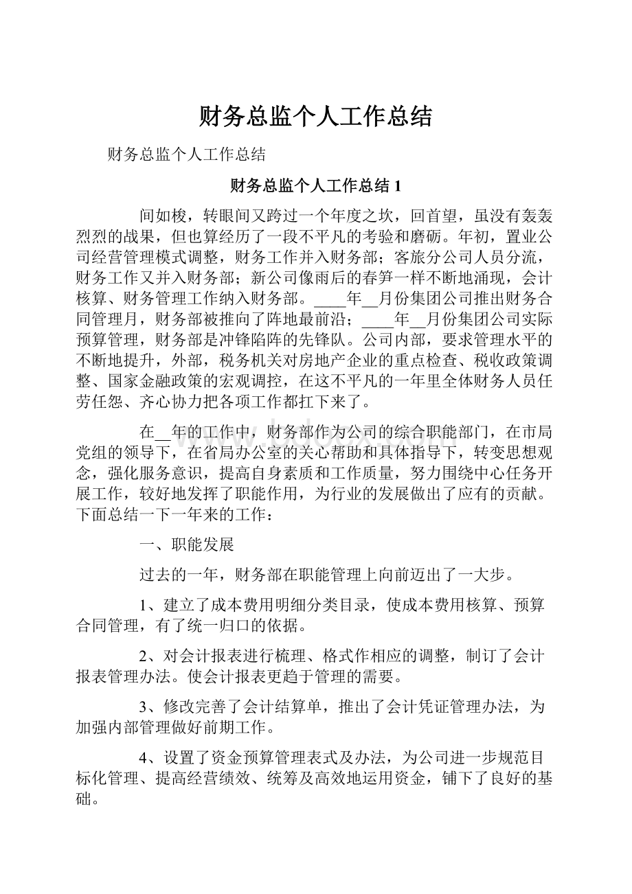 财务总监个人工作总结.docx