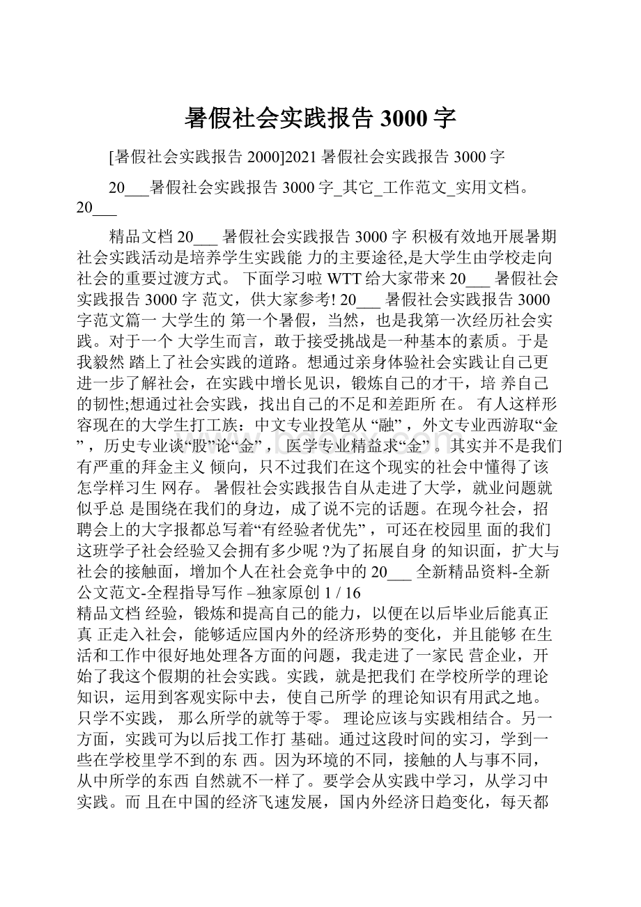 暑假社会实践报告3000字.docx_第1页