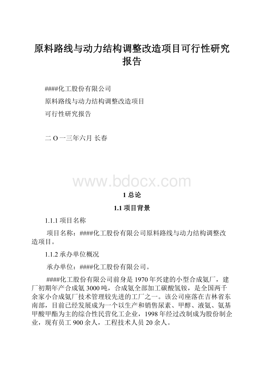 原料路线与动力结构调整改造项目可行性研究报告.docx