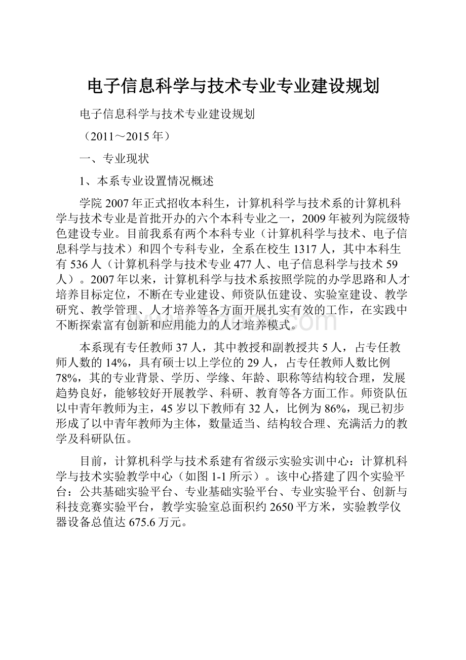 电子信息科学与技术专业专业建设规划.docx