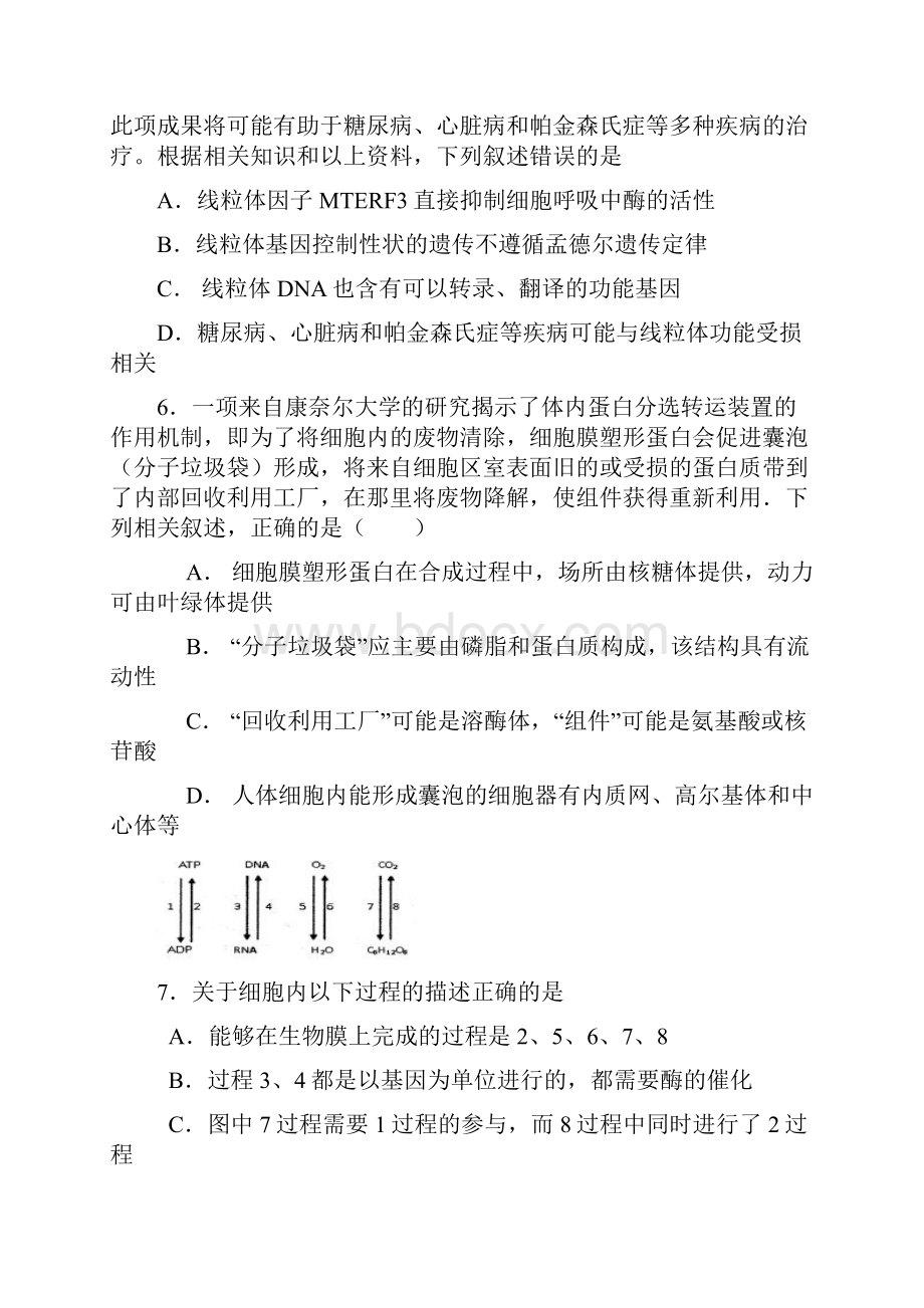 届山东省日照一中高三上学期期中考试生物试题及答案.docx_第3页