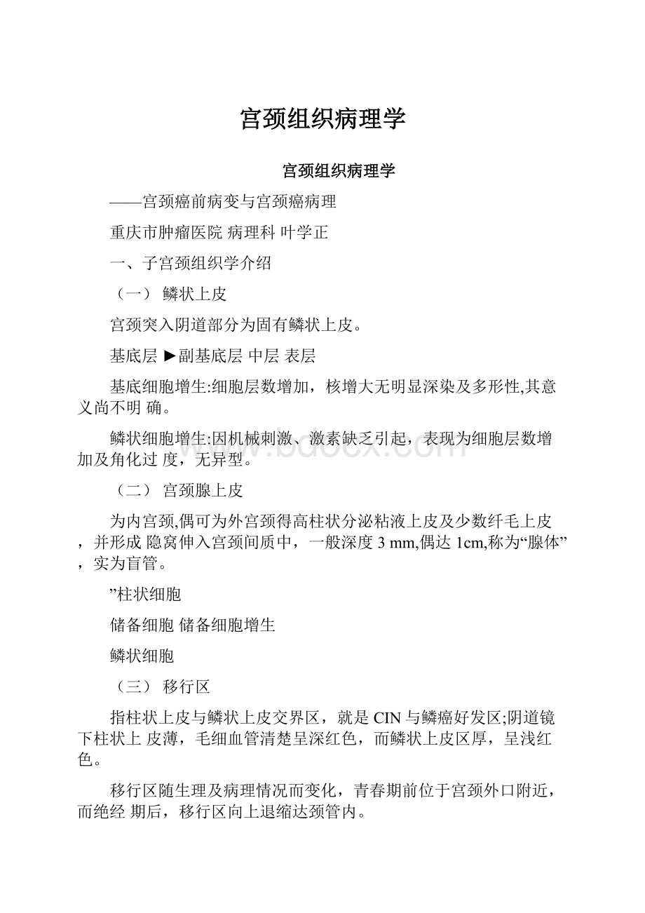 宫颈组织病理学.docx_第1页