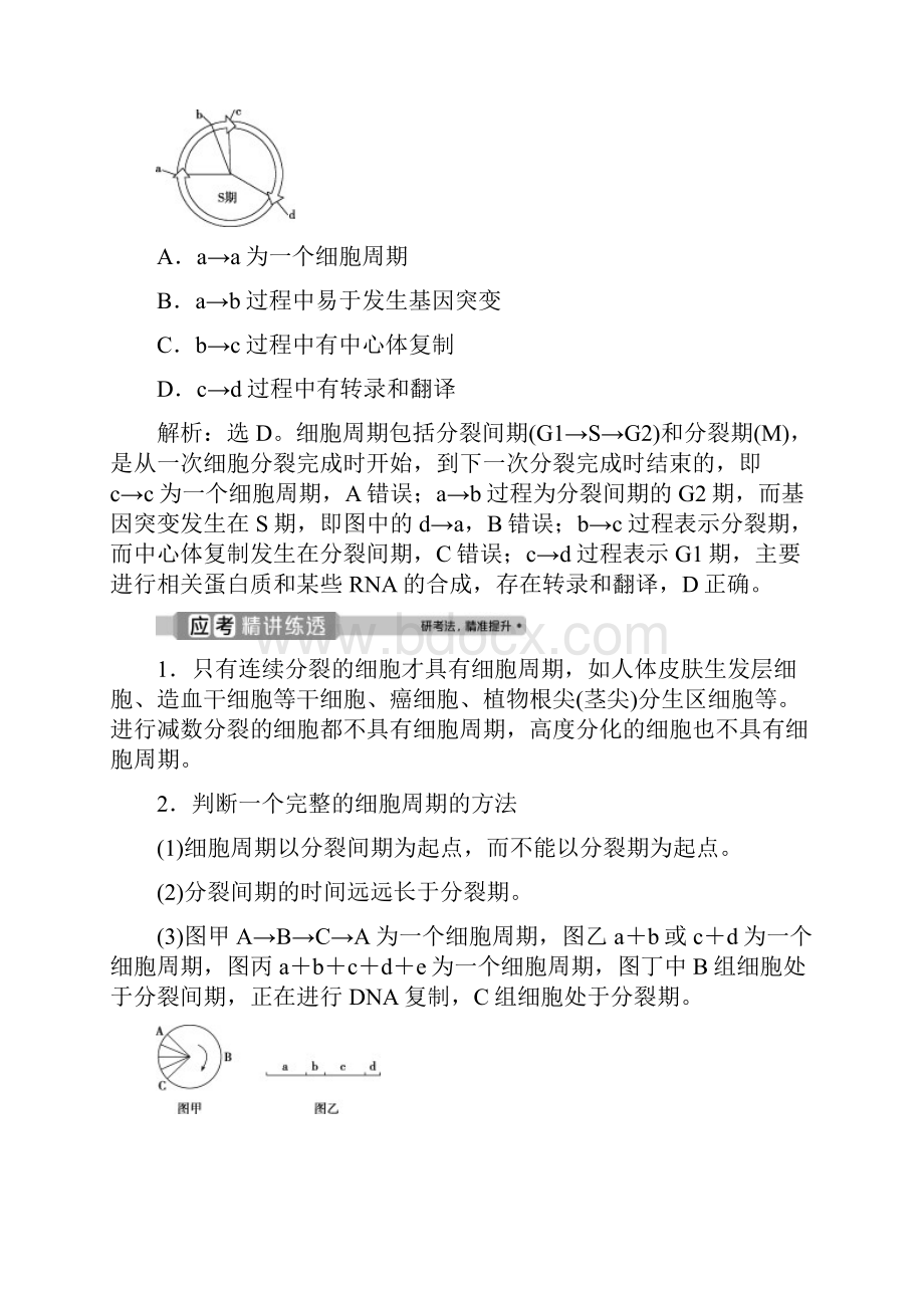 版浙江新高考选考生物一轮复习第10讲 细胞的增殖.docx_第3页