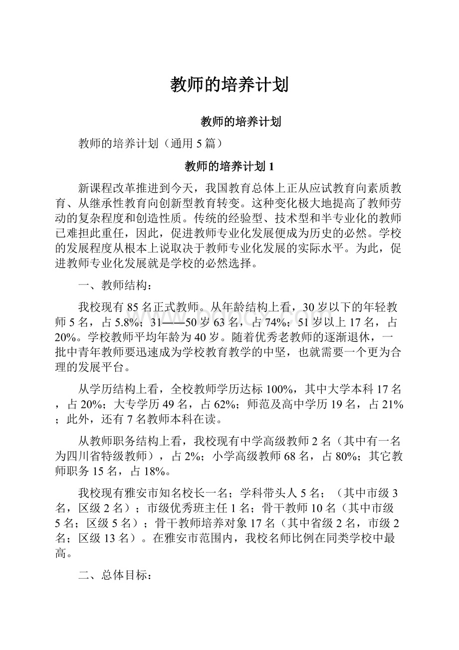 教师的培养计划.docx_第1页