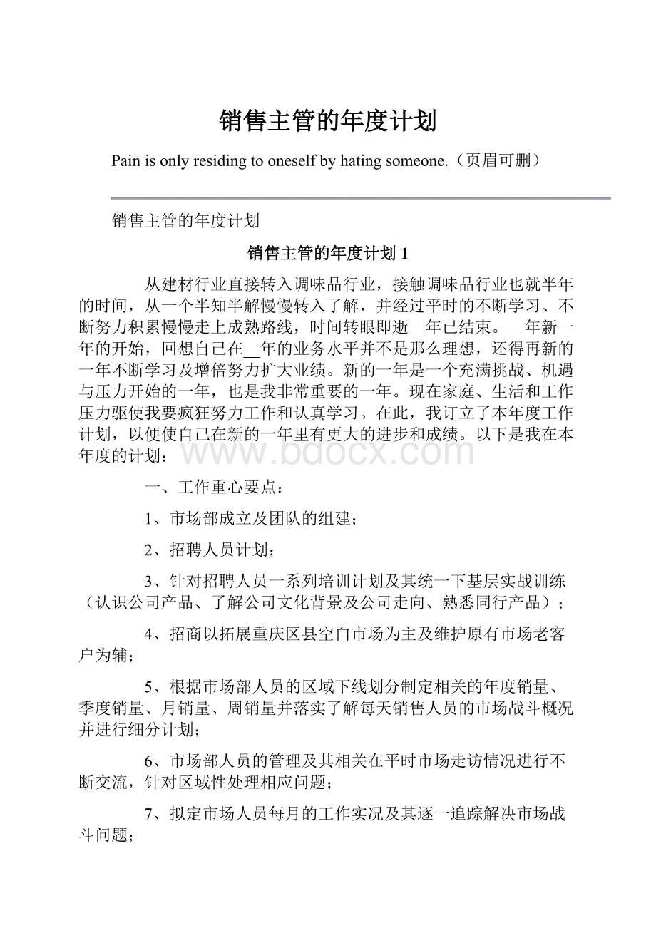 销售主管的年度计划.docx