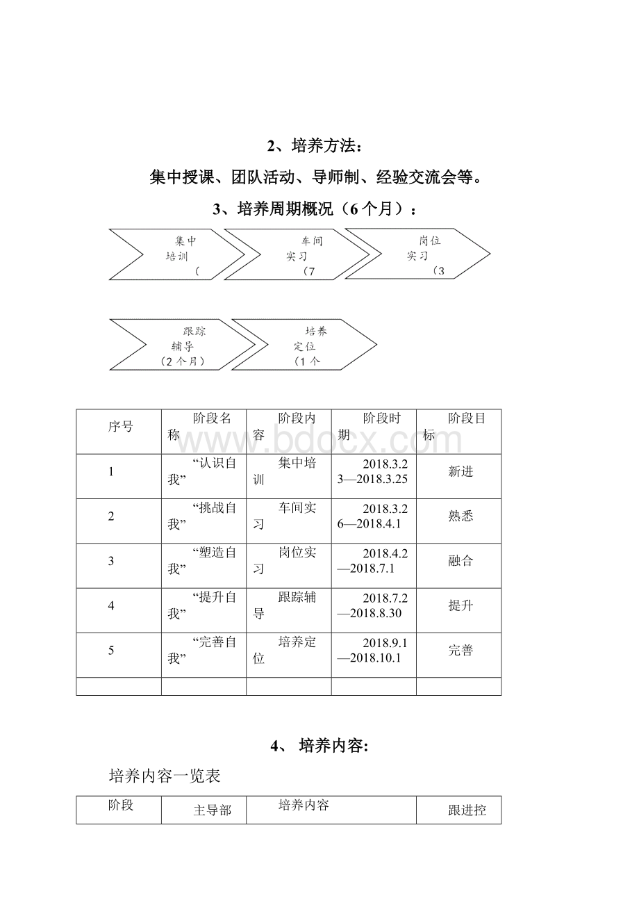 应届生培养方案启航计划精编版.docx_第3页