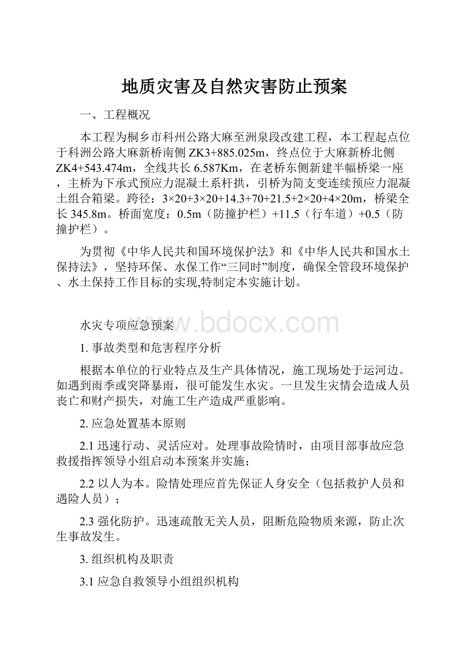 地质灾害及自然灾害防止预案.docx