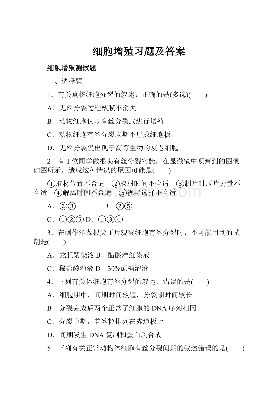 细胞增殖习题及答案.docx_第1页