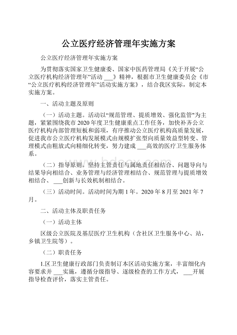 公立医疗经济管理年实施方案.docx