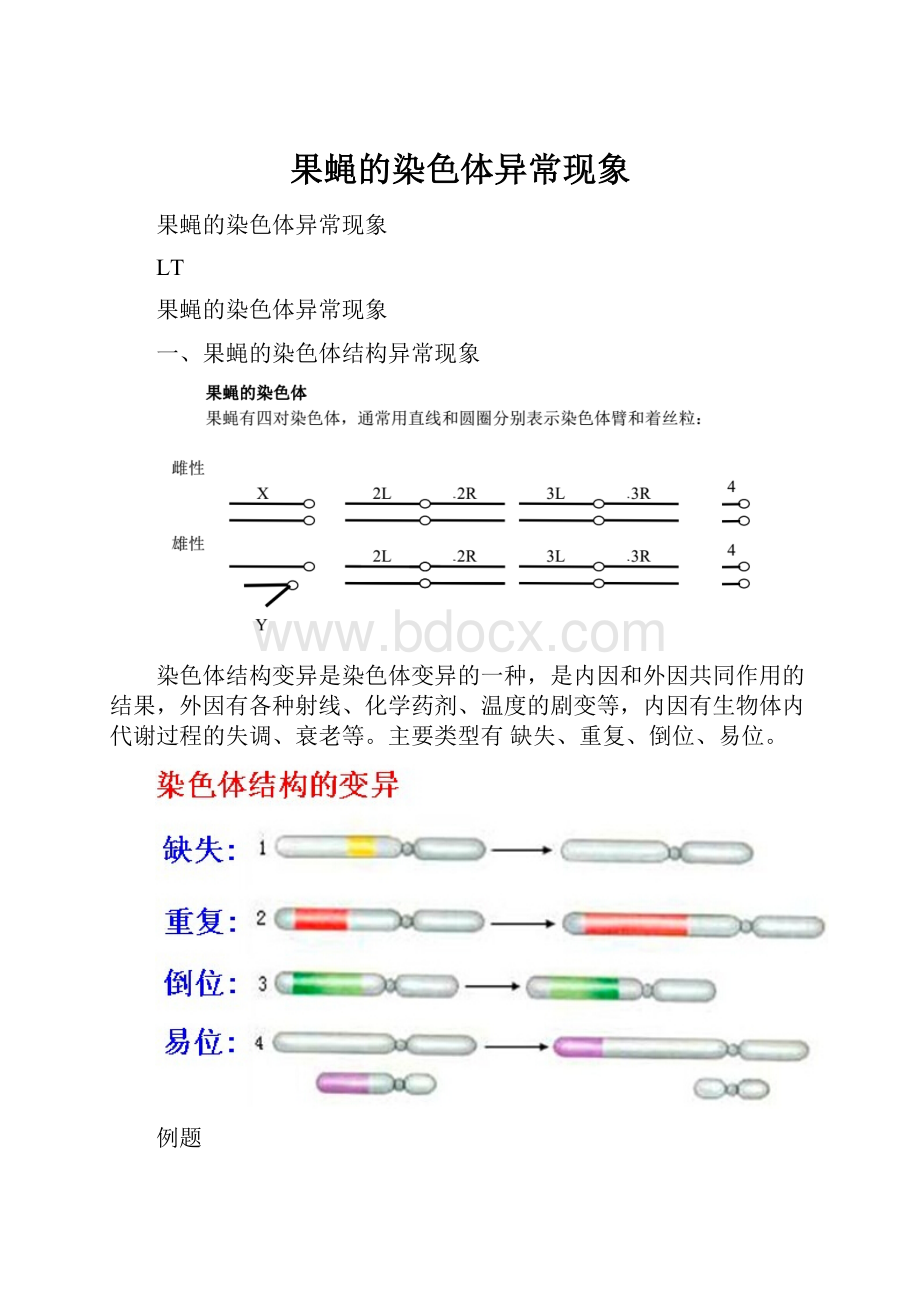 果蝇的染色体异常现象.docx_第1页