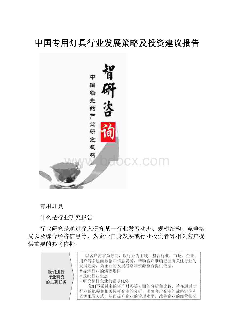 中国专用灯具行业发展策略及投资建议报告.docx