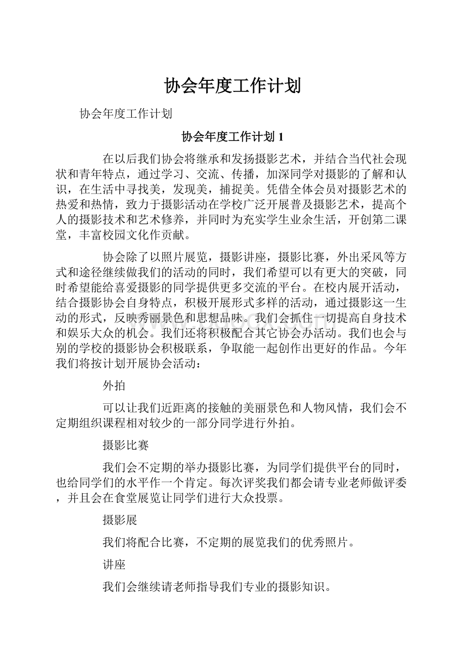 协会年度工作计划.docx