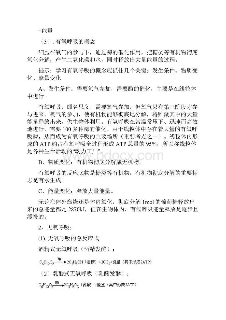 细胞呼吸知识点复习及答案电子教案.docx_第3页