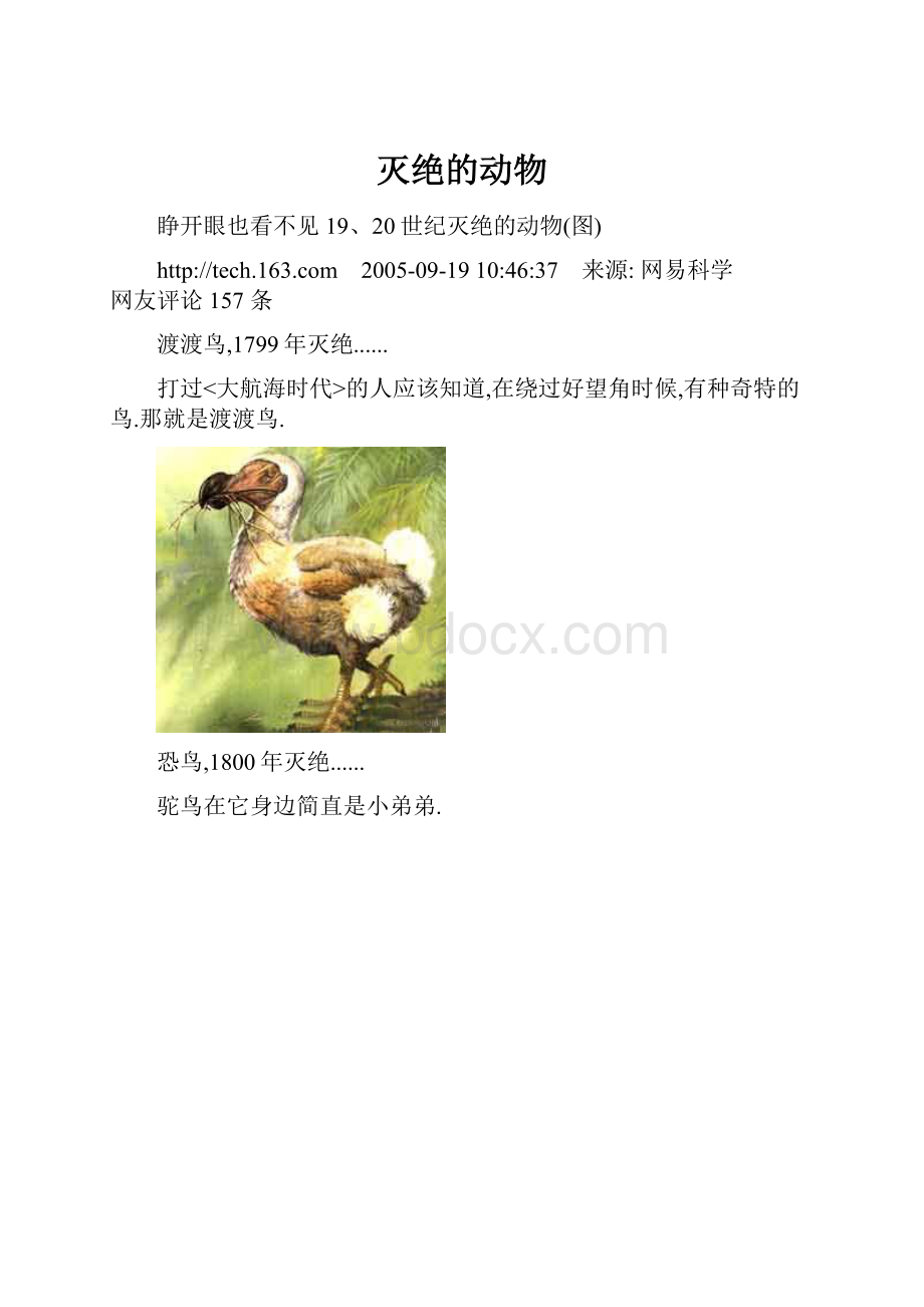 灭绝的动物.docx_第1页