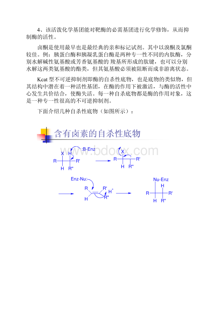 酶分类之不可逆抑制剂.docx_第2页