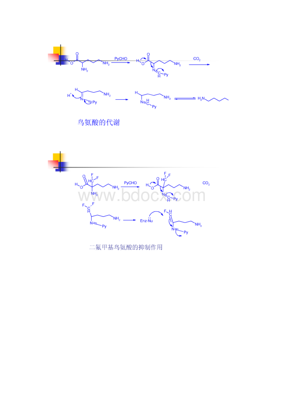 酶分类之不可逆抑制剂.docx_第3页