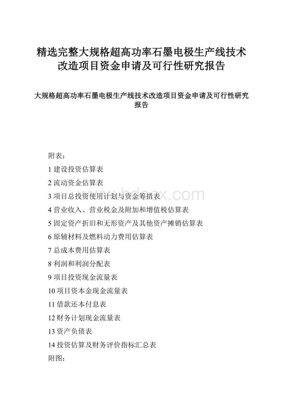 精选完整大规格超高功率石墨电极生产线技术改造项目资金申请及可行性研究报告.docx_第1页