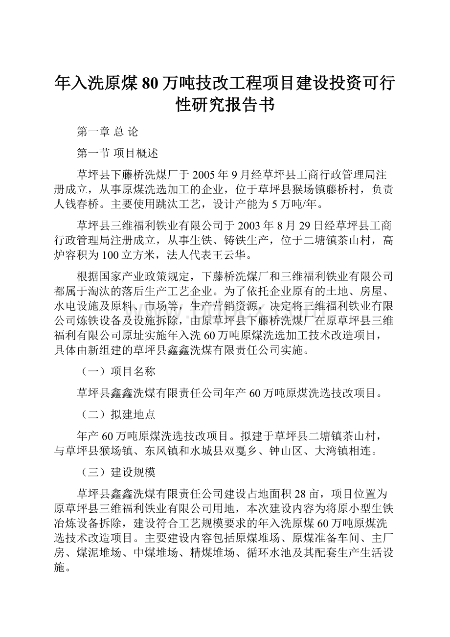 年入洗原煤80万吨技改工程项目建设投资可行性研究报告书.docx_第1页