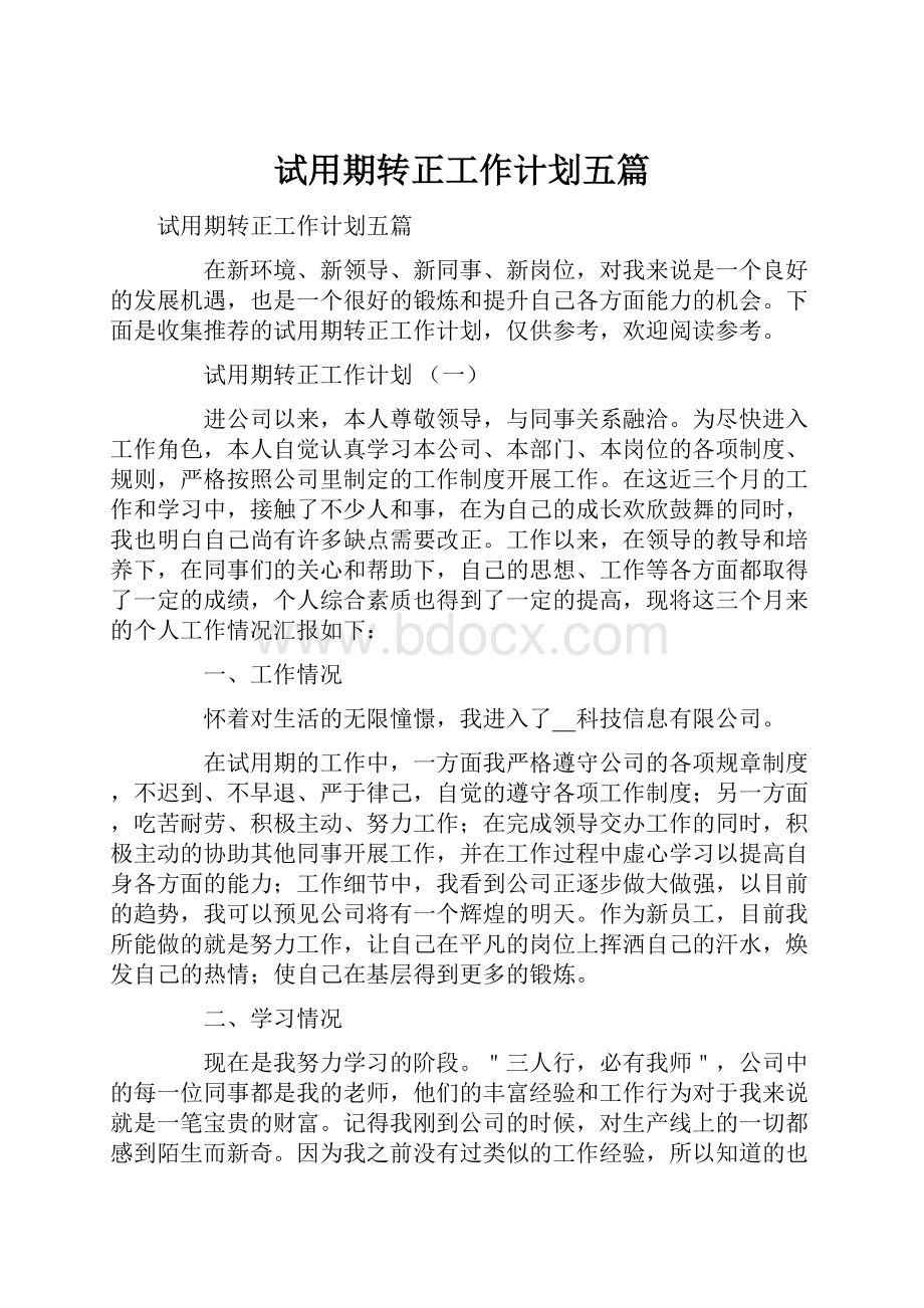 试用期转正工作计划五篇.docx