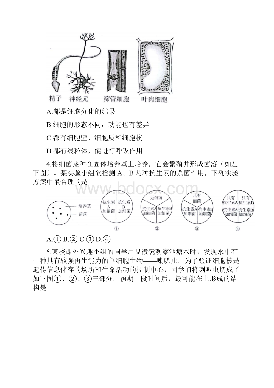 江苏苏州初中结业考试生物试题.docx_第2页