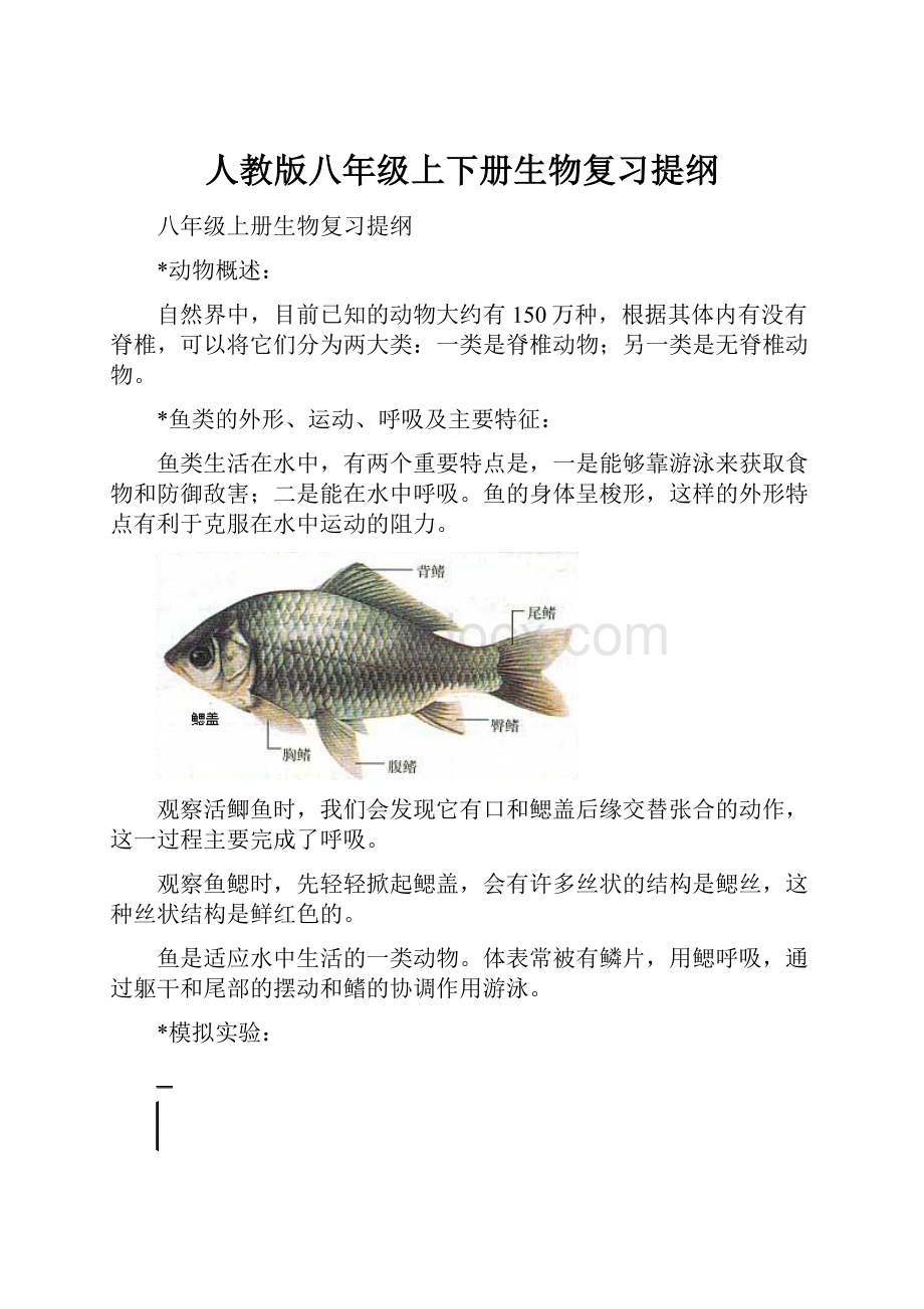 人教版八年级上下册生物复习提纲.docx