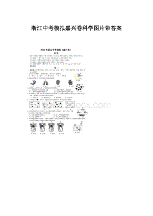 浙江中考模拟嘉兴卷科学图片带答案.docx