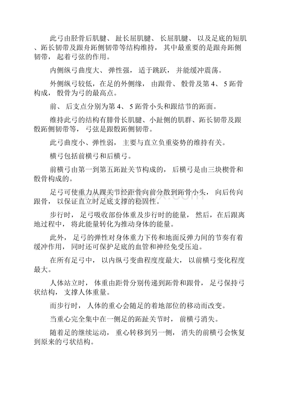 足部生物力学与人体亚健康.docx_第2页